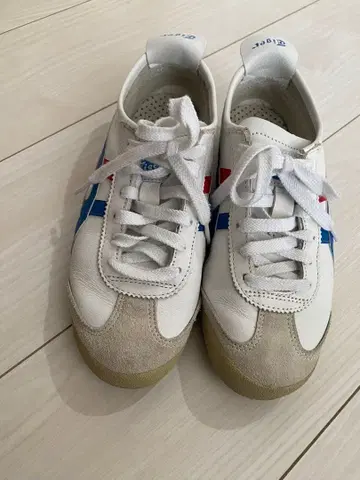 여성용 스니커즈 화이트/블루/레드