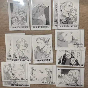 기븐전 키즈나츠키 ENCORE 파샤코레 Premium 하루키 아키히코