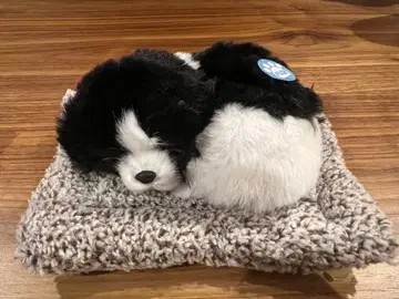 봉제 인형 쌔근쌔근 잠자는 강아지