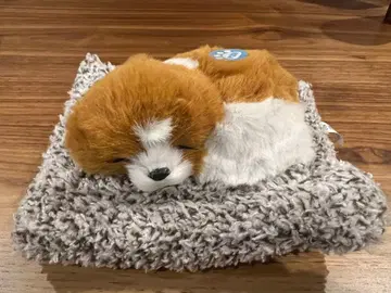 봉제 인형 쌔근쌔근 잠자는 강아지