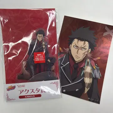 가격 인하 없음 가정교사 히트맨 REBORN 히코쿠지 XANXUS