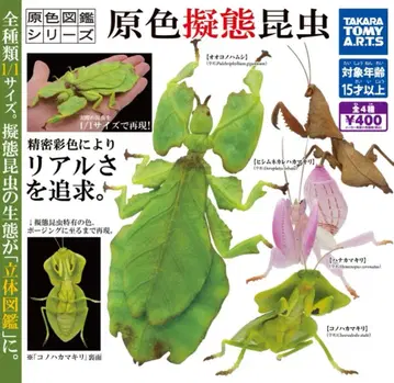원색 도감 시리즈 원색 의태 곤충 전 4종 세트 피규어 가챠