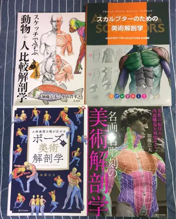 미술 해부학 4권 세트 [가격 인하 불가]