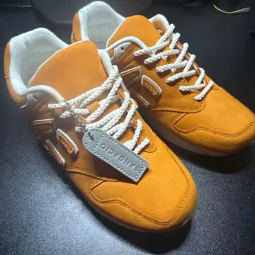 SANGACIO 뉴즈 오렌지 한정판 10주년 기념 모델