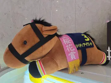 서러브레드 컬렉션 네소베리 초 BIG 봉제 인형 리버티 아일랜드 벚꽃화상