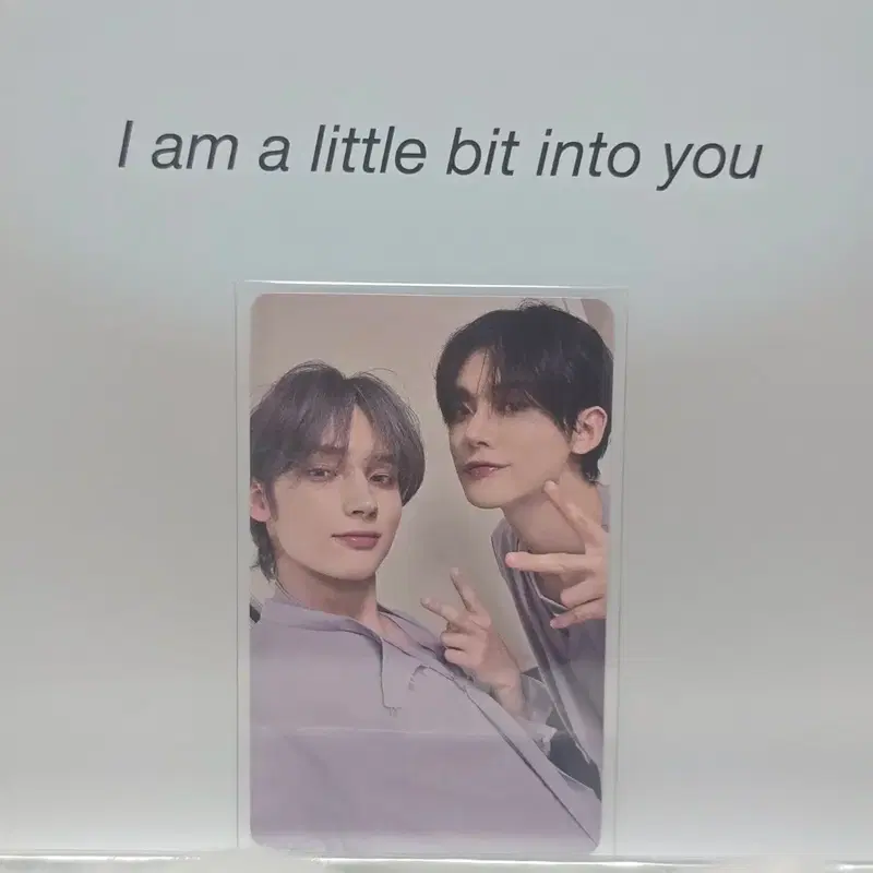 치카이 일본 럭드 | 연준 휴닝카이 투바투 유닛 황춘 흠냐링 hmv 무신