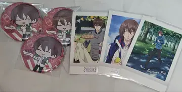 테니스의 왕자님 후지 슈스케