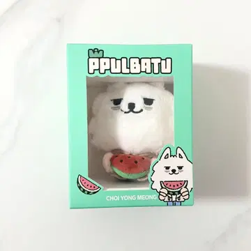 TXT 뿔바투 썸머 수박 연준 수빈