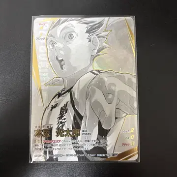 하이큐 바보카 BREAK 쓰레기장의 결전 보쿠토 P