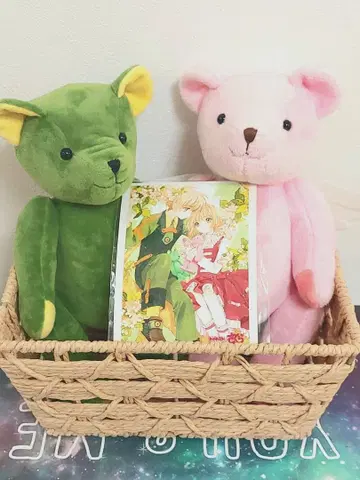 카드캡터 사쿠라 애니복권 사쿠라 샤오랑 곰 봉제인형 세트
