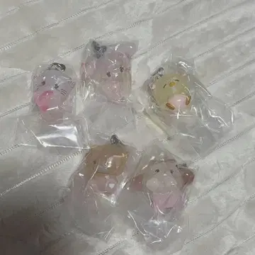 mikko 캡슐 토이 컴플리트