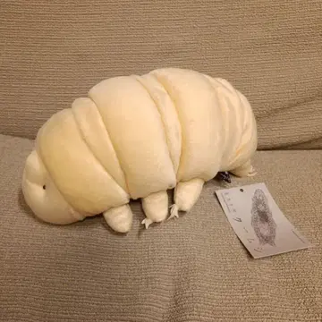 두다르장 야마곰 벌레 봉제 인형