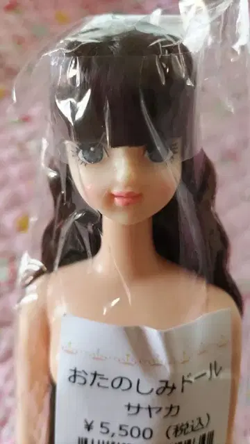 사야카 오타노시미 인형 리카짱 캐슬 136980