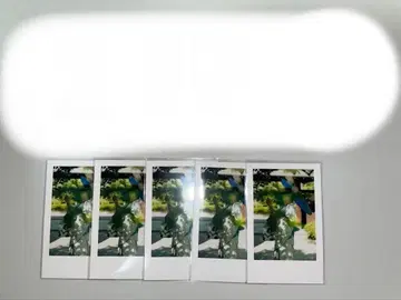 이레이스 호토케 실사 폴라로이드