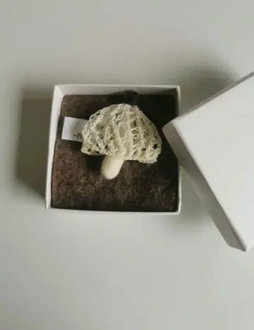 우지일기 버섯형 펠트 브로치