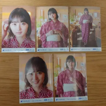 노기자카46 엔도 사쿠라 브로마이드 5종 컴프 x 12종