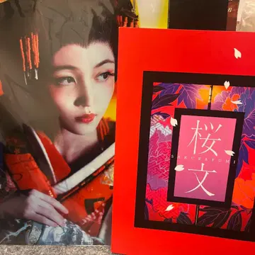 노기자카46 쿠보 시오리 벚꽃 문 팜플렛 클리어 파일 세트