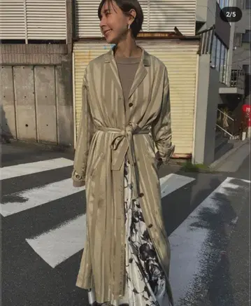 AMERI UNDRESSED STRIPE OVER SHIRT DRESS