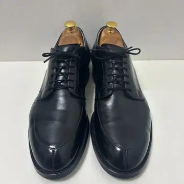 ALDEN/알든 모디파이드 라스트 V 칩 카프 품번539 9.5C