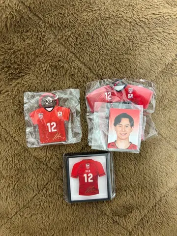 배구 일본 대표 타카하시 란 굿즈 세트