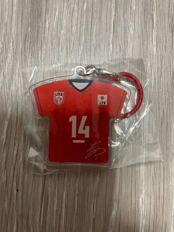 배구 남자 일본 대표 메지루시 참 이시카와 유키