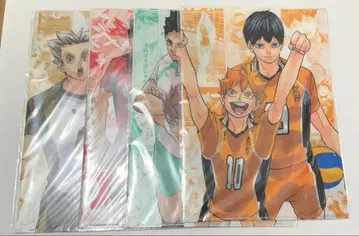 하이큐 클리어 파일 하이큐전 원화전 8장 쿠로오 켄마 카게야마 히나타