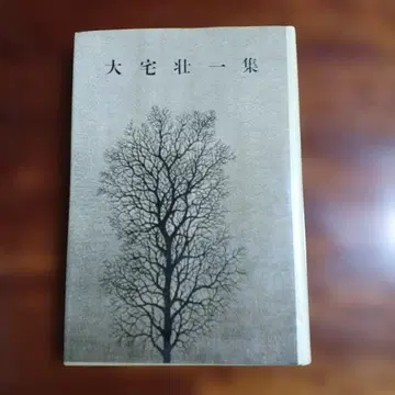 오야케 소이치 집.