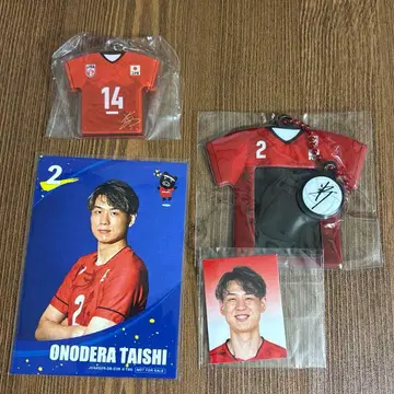 [ 낱개 판매 불가 ] 남자 배구 네이션스 리그 가챠가챠 묶음 판매