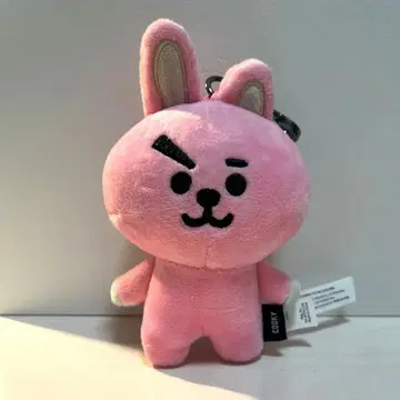 BT21 BTS COOKY 정국 백참
