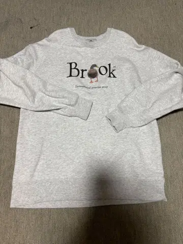 브룩 환경 보호 단체 맨투맨