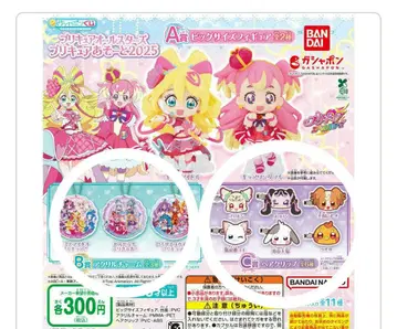 프리큐어 올스타즈 아소트 2025 B상 C상 컴플리트 9종