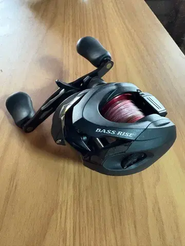 버스라이즈 pe1호 포함