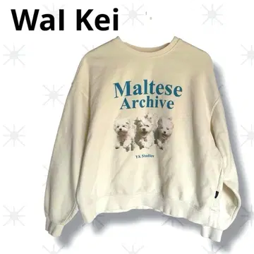 새상품급 waikei 와이케이 멀티즈 맨투맨 아이보리 정한 착용