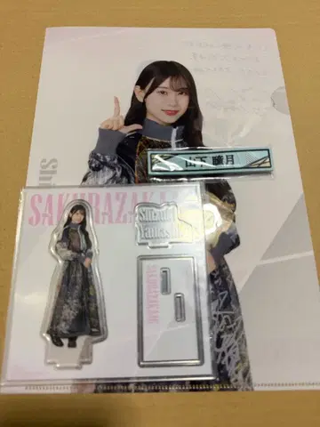 사쿠라자카46 1번 복권 야마시타 시즈키 세트 덤 포함