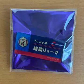 테니스의 왕자님 에치젠 료마 네임 배지 잘생긴 남자 사무라이