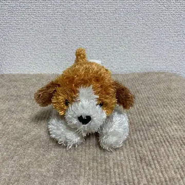 Ty사의 비니 베이비즈 봉제 인형 샘슨