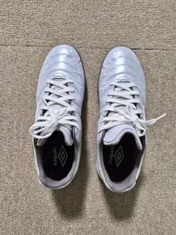 [엄브로: 25.5cm] 풋살화 인조잔디용 쿠션성 발군