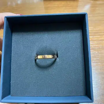 Daniel Wellington 로즈 골드링 13.5호