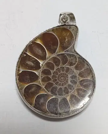 펜던트 암모나이트