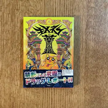 키메고양이 약도감