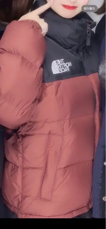 THE NORTH FACE 다운 자켓 브라운/블랙