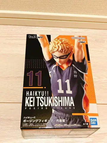 하이큐!! 포징 피규어 츠키시마 케이