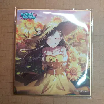 프로세카 시로이시 안 색지 24B 해바라기 특훈 후