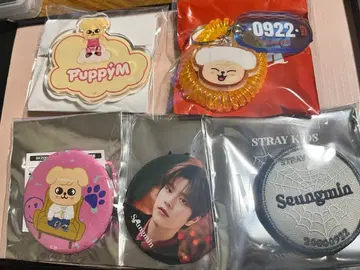 straykids 승민 파피무 랜덤 굿즈 묶음 판매