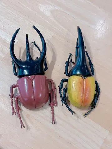 컬러풀 장수풍뎅이 피규어 8개 세트