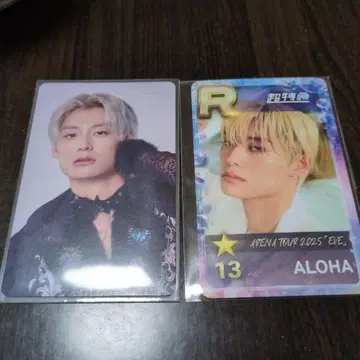 초특급 슈스에비 리얼 카드 NINE LIVES HMV 알로하