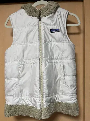 Patagonia 파타고니아 후드 베스트