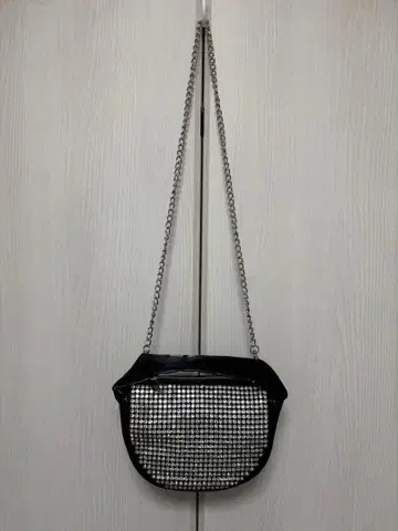 Ray BEAMS 비쥬 백