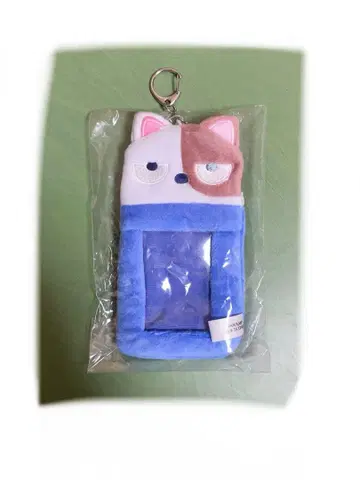 숏 캣 카드 홀더