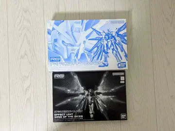 RG 스트라이크 프리덤 건담 (티타늄 피니쉬) & 빛의 날개 세트